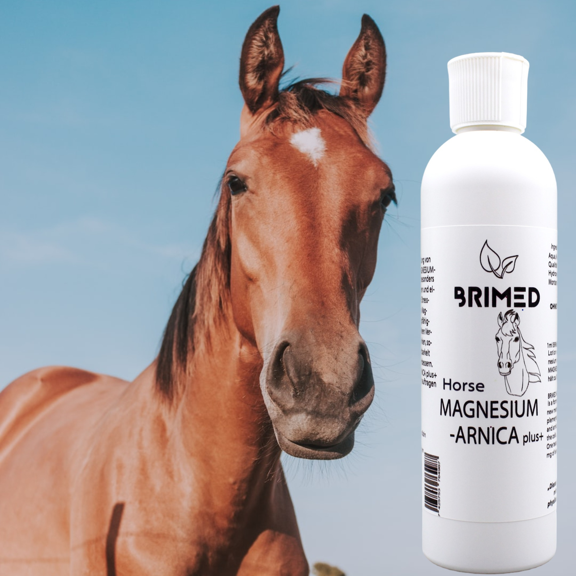 BRIMED S-MAGNESIUM-ARNICA plus+ Lotion HORSE 250 ml